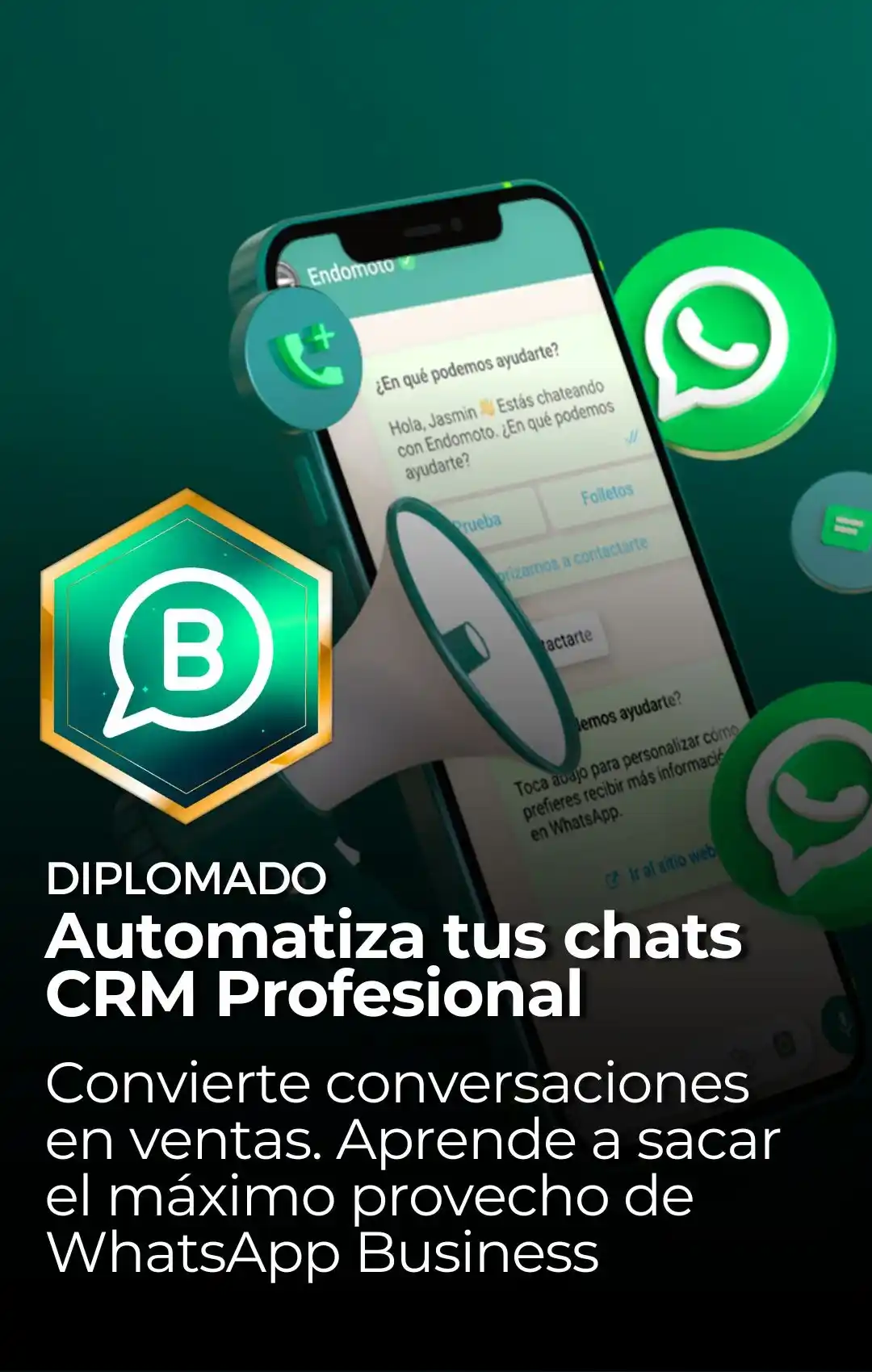 diplo-verti-4_2_11zon