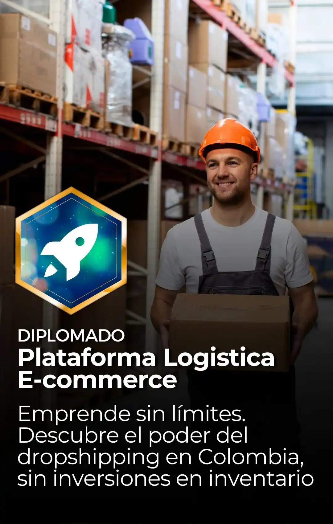 diplo-verti-5_9_11zon